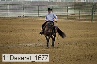 11deseret_1677 thumbnail