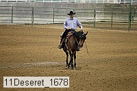 11deseret_1678 thumbnail