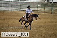 11deseret_1681 thumbnail