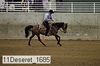 11deseret_1685 thumbnail