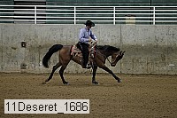 11deseret_1686 thumbnail