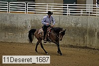 11deseret_1687 thumbnail