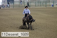 11deseret_1689 thumbnail