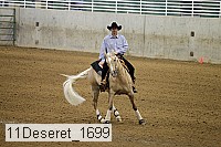 11deseret_1699 thumbnail