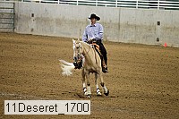 11deseret_1700 thumbnail