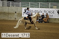 11deseret_1713 thumbnail