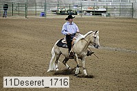 11deseret_1716 thumbnail