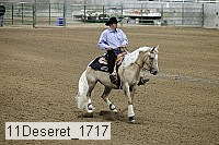 11deseret_1717 thumbnail