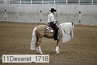 11deseret_1718 thumbnail