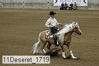 11deseret_1719 thumbnail