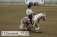 11deseret_1720 thumbnail