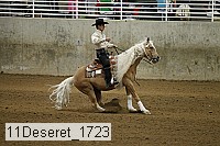 11deseret_1723 thumbnail