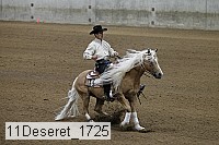 11deseret_1725 thumbnail