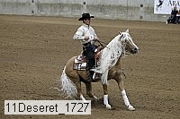 11deseret_1727 thumbnail