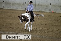 11deseret_1728 thumbnail