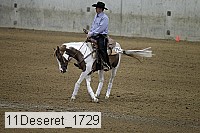 11deseret_1729 thumbnail