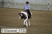 11deseret_1732 thumbnail