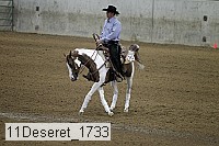 11deseret_1733 thumbnail