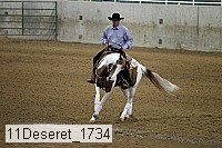 11deseret_1734 thumbnail