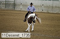 11deseret_1735 thumbnail