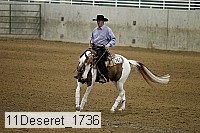 11deseret_1736 thumbnail