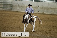 11deseret_1737 thumbnail