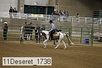 11deseret_1738 thumbnail