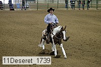 11deseret_1739 thumbnail