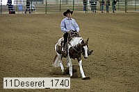 11deseret_1740 thumbnail