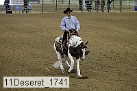 11deseret_1741 thumbnail