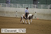 11deseret_1743 thumbnail