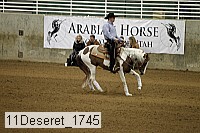 11deseret_1745 thumbnail