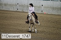 11deseret_1747 thumbnail