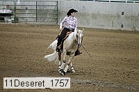 11deseret_1757 thumbnail