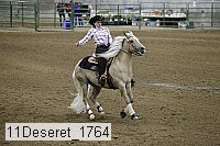 11deseret_1764 thumbnail