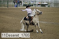 11deseret_1765 thumbnail