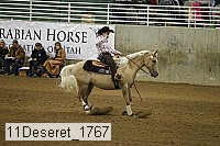 11deseret_1767 thumbnail