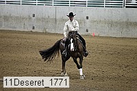 11deseret_1771 thumbnail