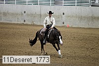 11deseret_1773 thumbnail