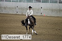 11deseret_1774 thumbnail