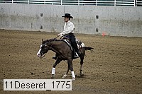 11deseret_1775 thumbnail