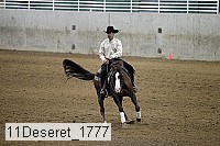 11deseret_1777 thumbnail