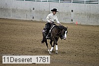 11deseret_1781 thumbnail