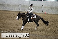 11deseret_1782 thumbnail