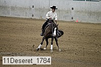 11deseret_1784 thumbnail