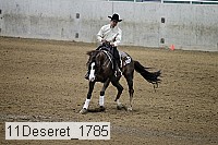 11deseret_1785 thumbnail