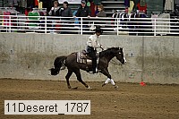 11deseret_1787 thumbnail