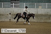 11deseret_1789 thumbnail