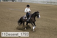 11deseret_1793 thumbnail