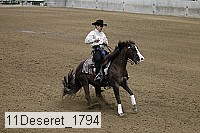 11deseret_1794 thumbnail
